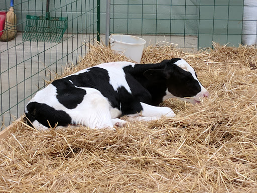 Arena «Utz Arena», reviews and photos, 334 Carlisle Avenue, York, PA 17404, USA