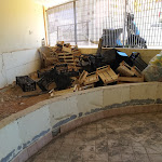 Photo n°2 de l'avis de FABIO. fait le 18/08/2019 à 13:26 sur le  Ristorante pizzeria Cortexandra à Sestu