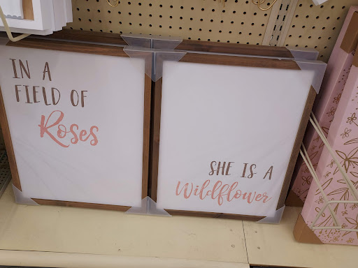 Craft Store «Hobby Lobby», reviews and photos, 130 Sundance Pkwy #200, Round Rock, TX 78681, USA