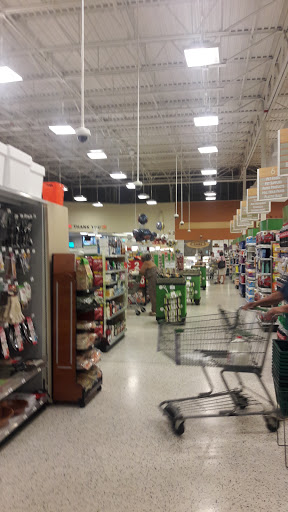 Supermarket «Publix Super Market at Colonial Plaza Shopping Center», reviews and photos, 9510 SW 160th St, Miami, FL 33157, USA
