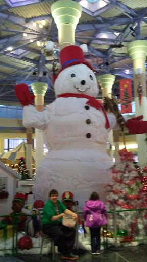 Shopping Mall «Chapel Hill Mall», reviews and photos, 2000 Brittain Rd, Akron, OH 44310, USA