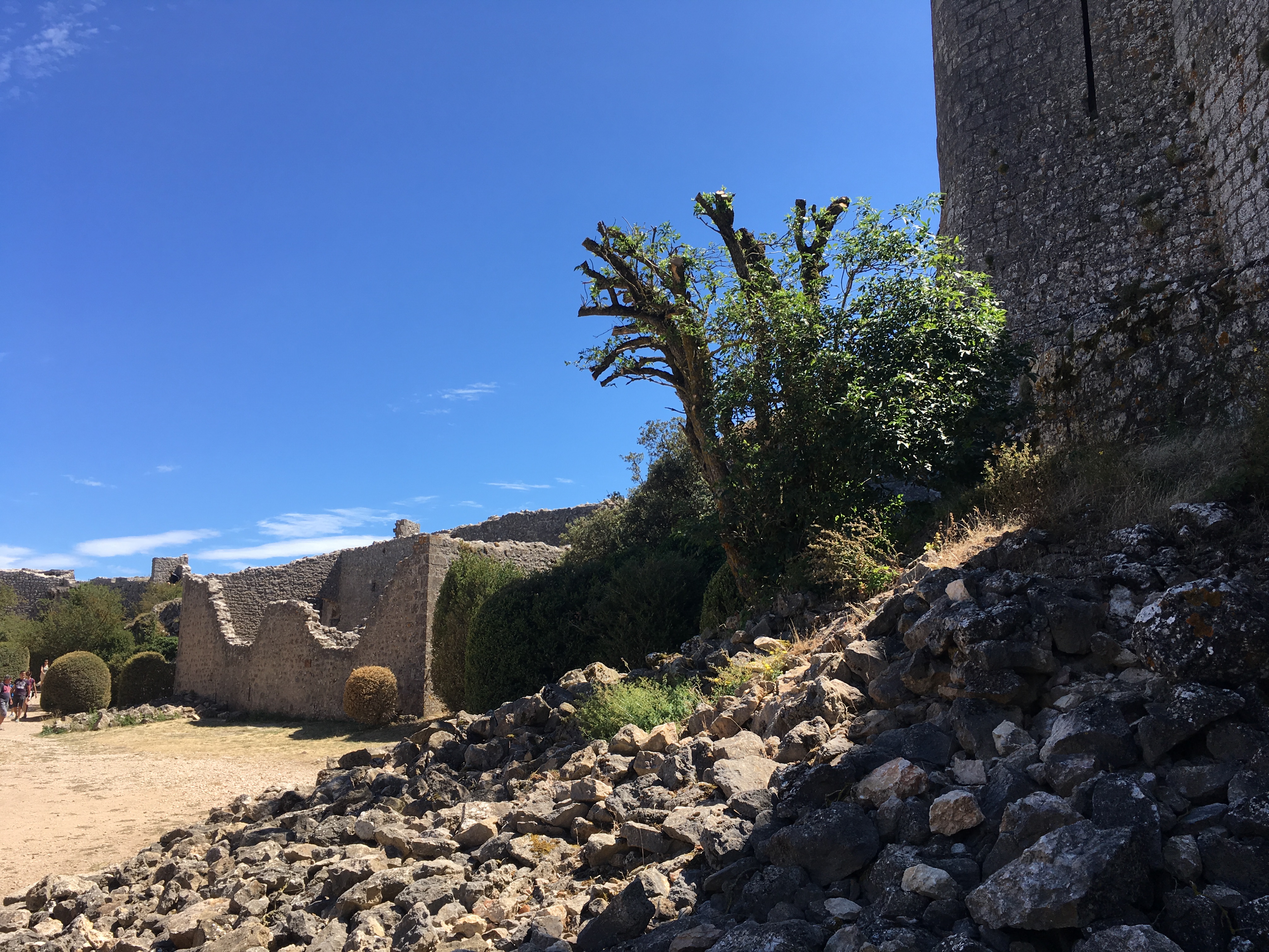 Photo n° 23 de l'avis de Guillaume. fait le 14/08/2019 à 18:59