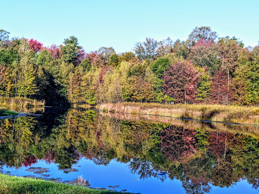 Golf Course «Blue Ridge Trail Golf Club», reviews and photos, 260 Country Club Dr, Mountain Top, PA 18707, USA