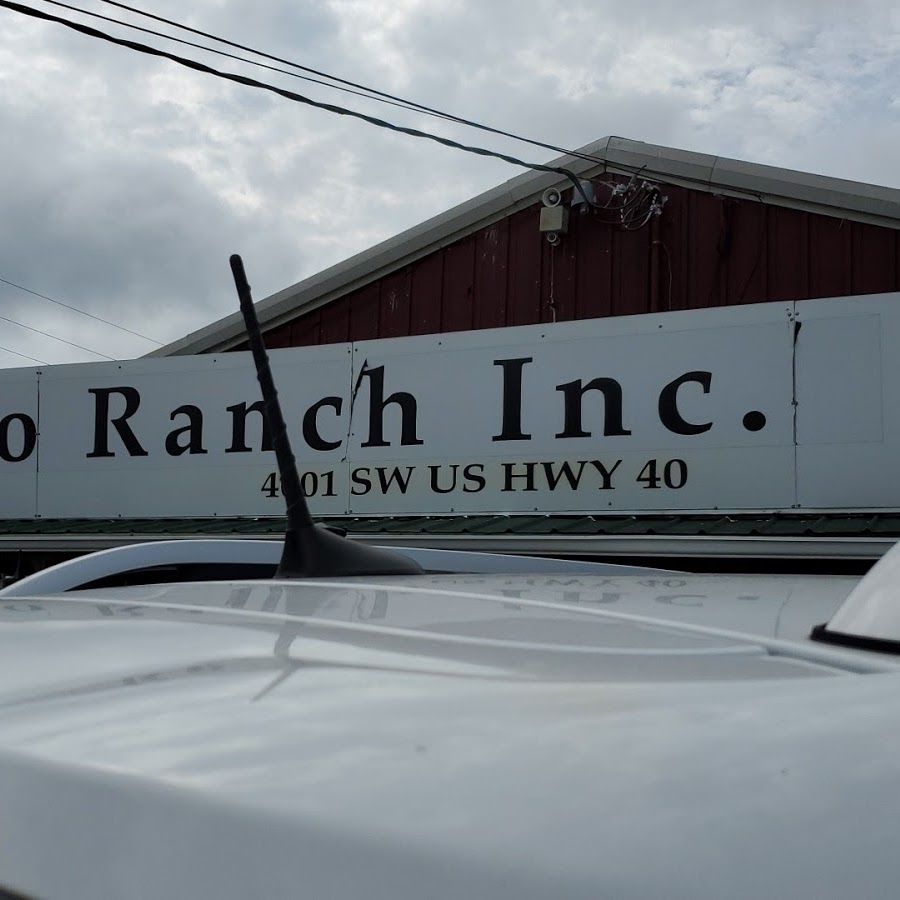 The Auto Ranch LLC