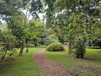 Gifford Arboretum