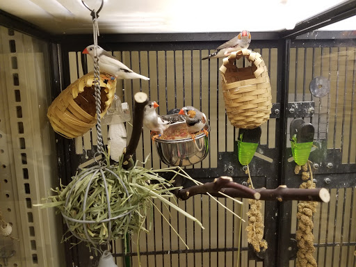 Pet Supply Store «PetSmart», reviews and photos, 1225 Industrial Rd, San Carlos, CA 94070, USA