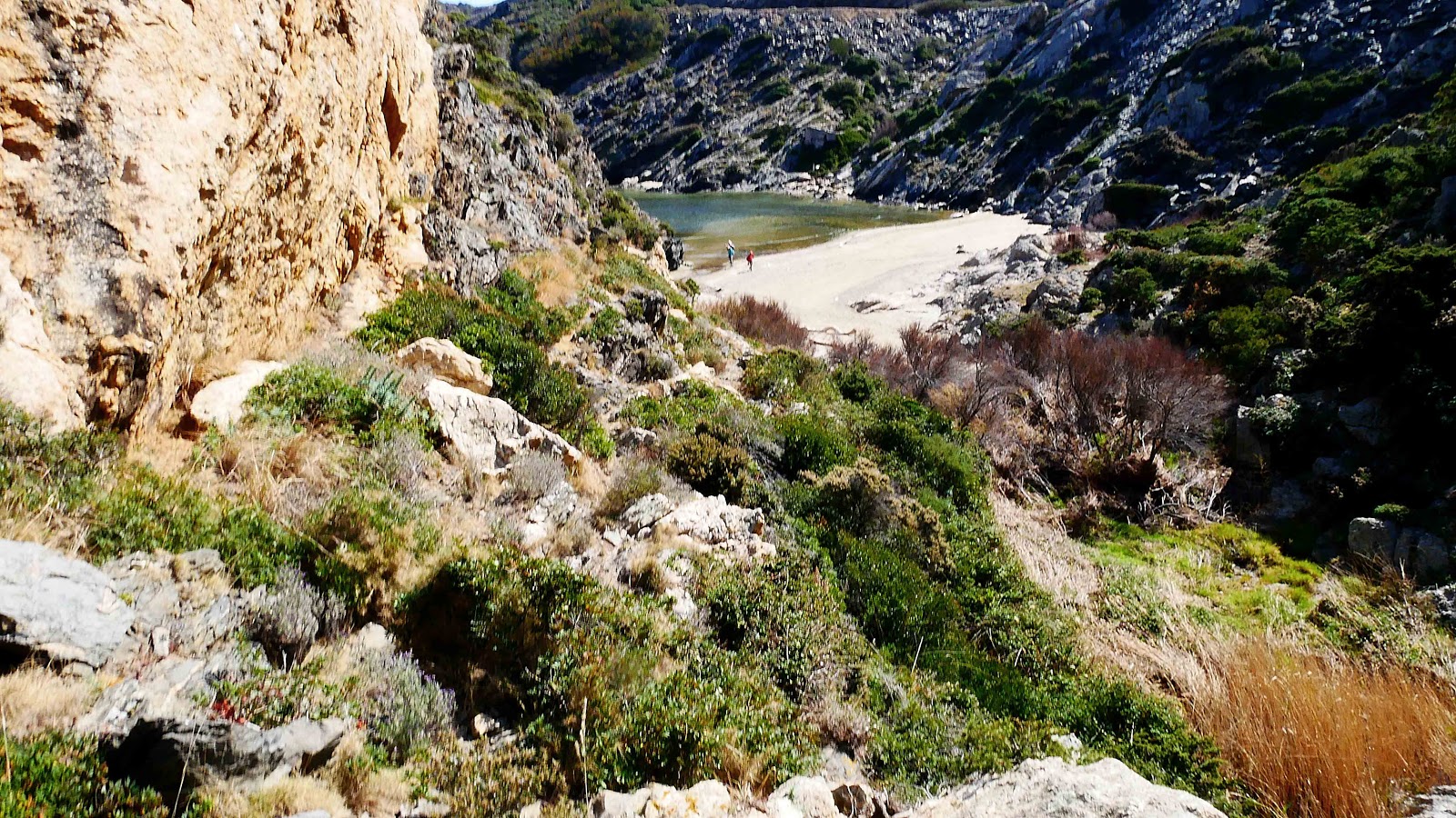 Foto di Platja de Neganta con una superficie del acqua verde chiaro