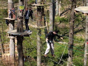 Go Ape Zipline & Adventure Park - photo 80