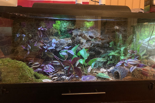 Pet Store «Fins Feathers Paws & Claws», reviews and photos, 436 Main St, Harleysville, PA 19438, USA