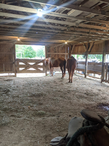 Stable «Cedar Valley Stables Inc», reviews and photos, 1492 Harding Ave, Tipton, IA 52772, USA