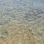 Photo n°5 de l'avis de marielisa.i fait le 15/07/2022 à 07:33 sur le  LIDO VARCO 23 à Plemmirio