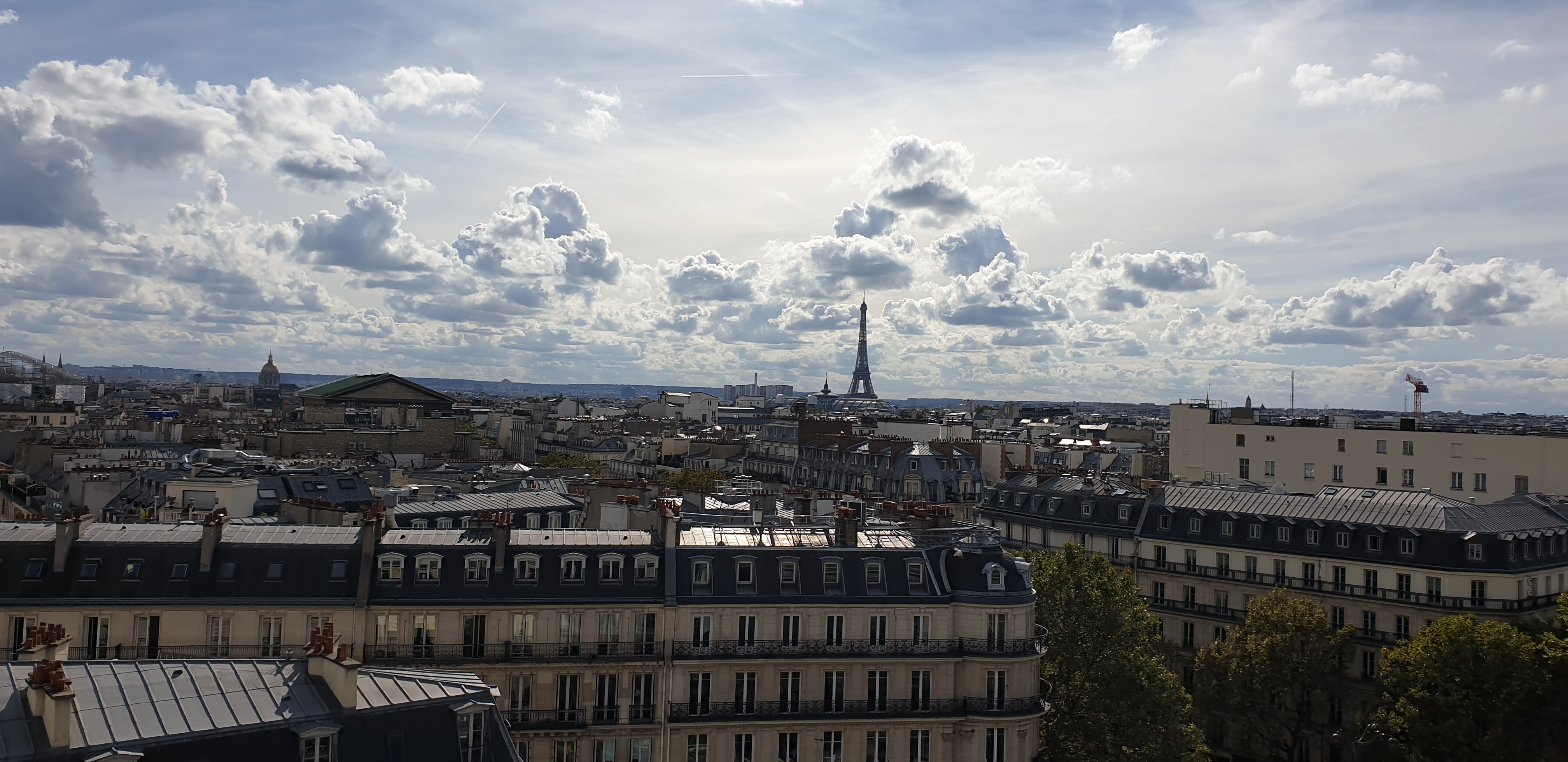 Photo n° 5 de l'avis de Pyrognats. fait le 12/09/2021 à 18:47