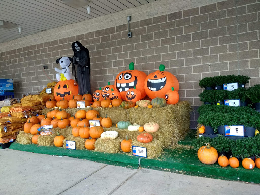 Supermarket «Giant», reviews and photos, 4315 Mountain Rd, Pasadena, MD 21122, USA