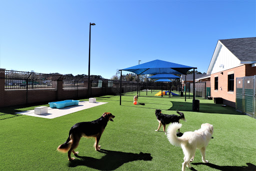 Pet Paradise Peachtree City