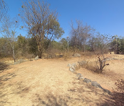 Bartlett Park photo