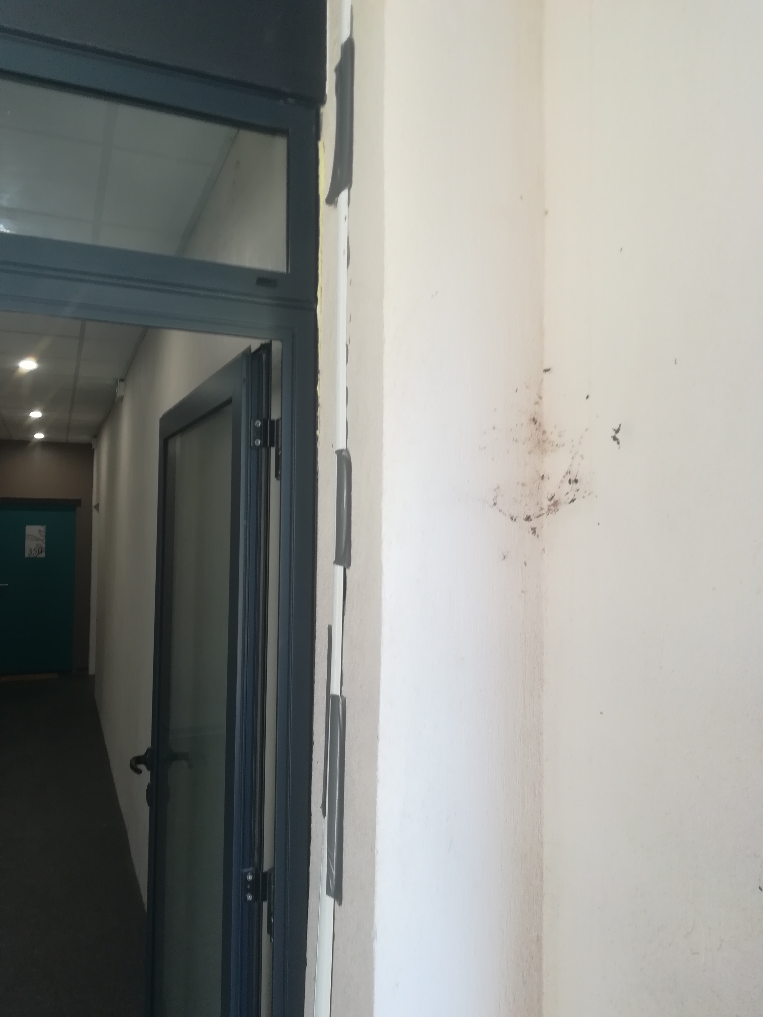 Photo n° 4 de l'avis de PASCAL.O fait le 25/08/2018 à 15:48