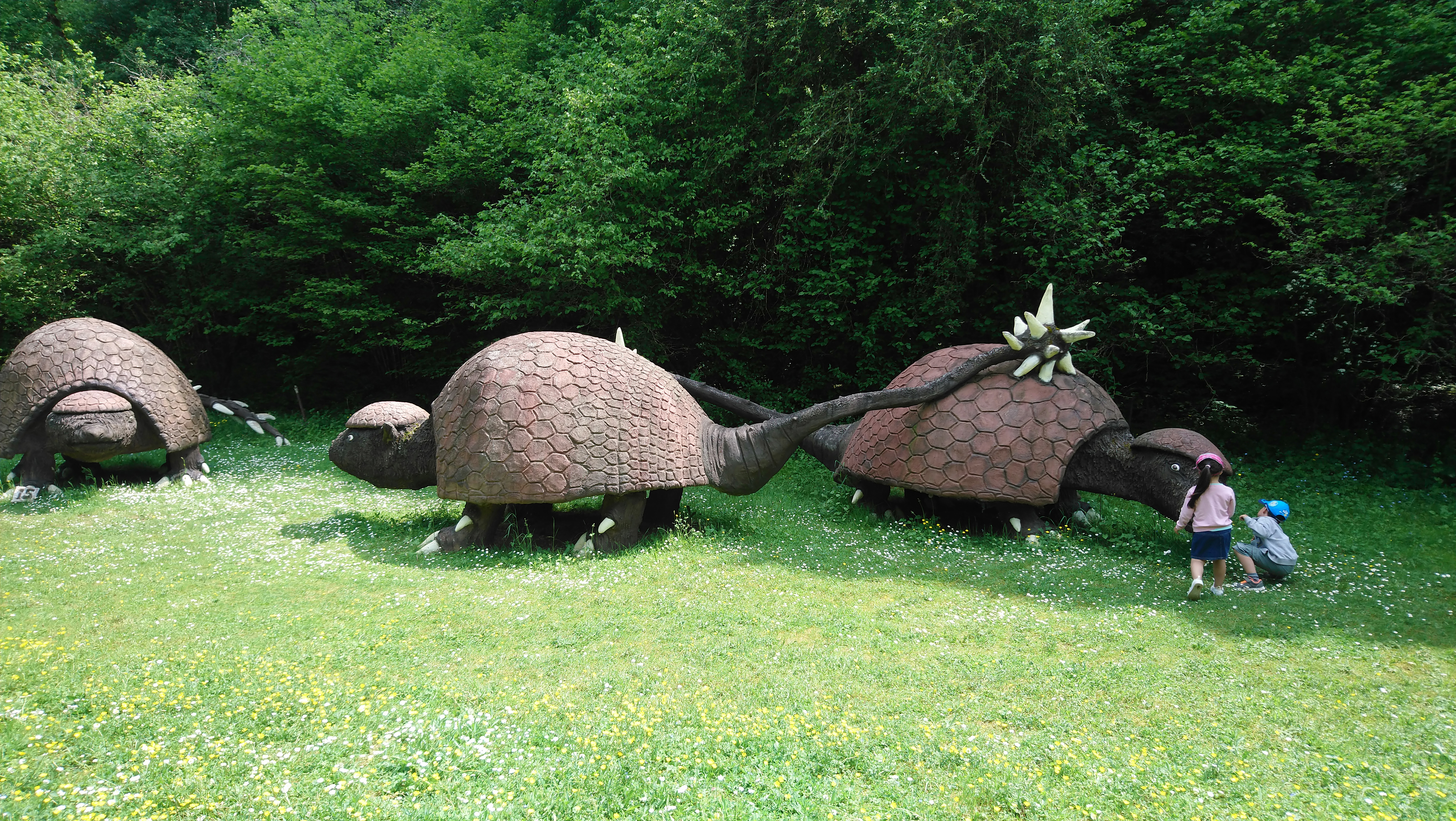 Photo n° 2 de l'avis de Paulo. fait le 09/05/2018 à 12:46