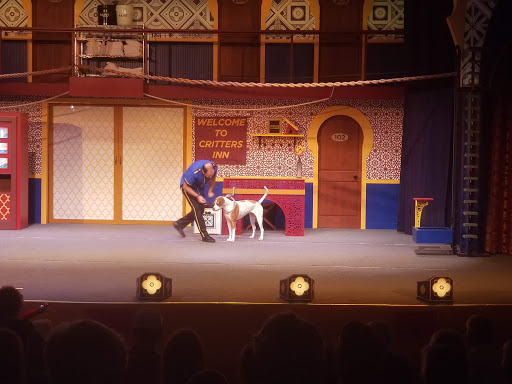 Performing Arts Theater «Pantopia Theater», reviews and photos, 3000 E Busch Blvd, Tampa, FL 33612, USA