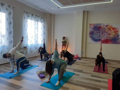 Centro de yoga, Yoga Sinergia