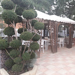 Photo n°1 de l'avis de Ilaria.u fait le 10/08/2017 à 18:17 sur le  Country Bar Pinseria Gentile à Sutri