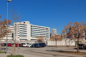 La Fe University and Polytechnic Hospital image