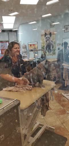 Pet Supply Store «PetSmart», reviews and photos, 13337 Worth Ave, Woodbridge, VA 22192, USA