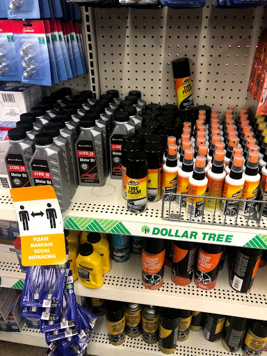 Dollar Store «Dollar Tree», reviews and photos, 35769 Van Born Rd, Romulus, MI 48174, USA