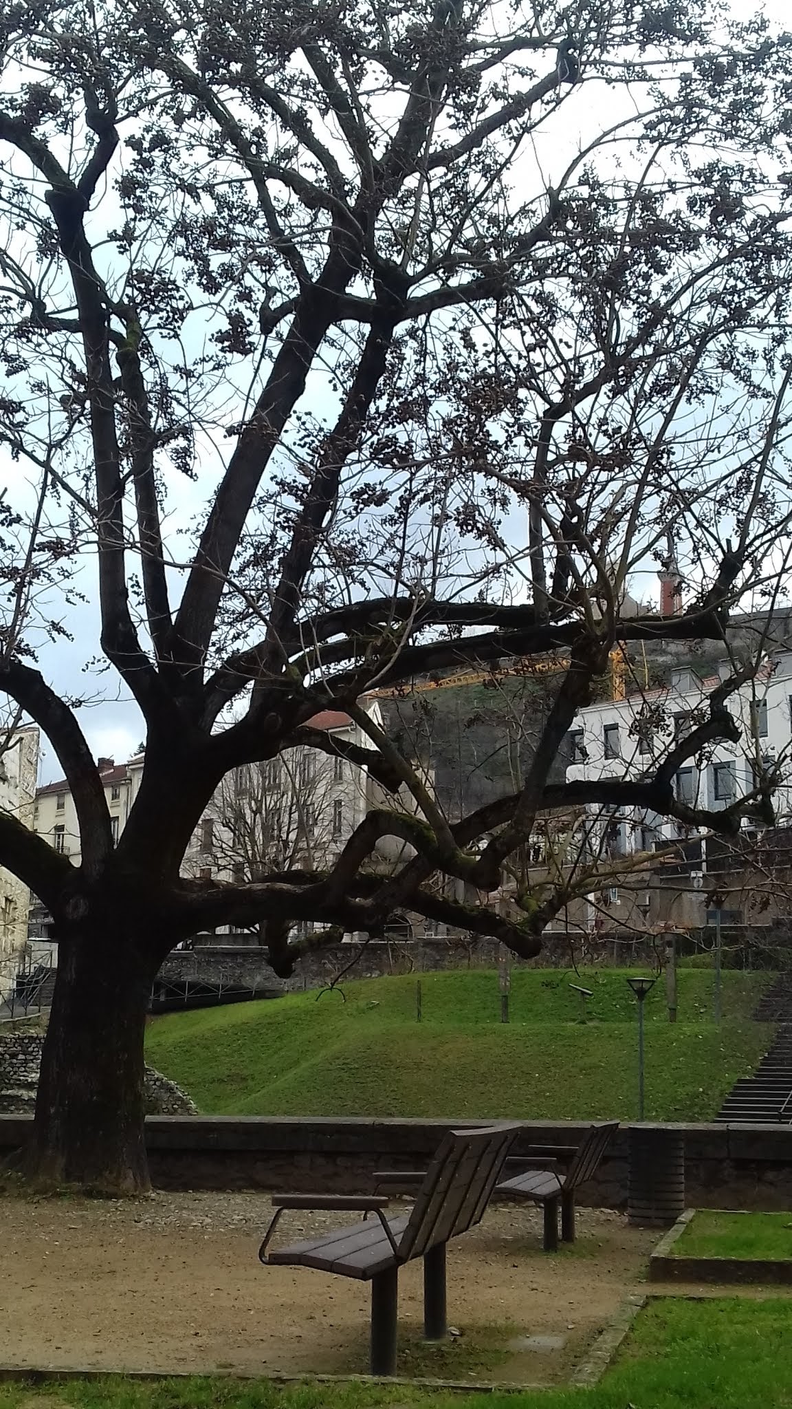 Photo n° 2 de l'avis de JR. fait le 11/01/2020 à 10:25