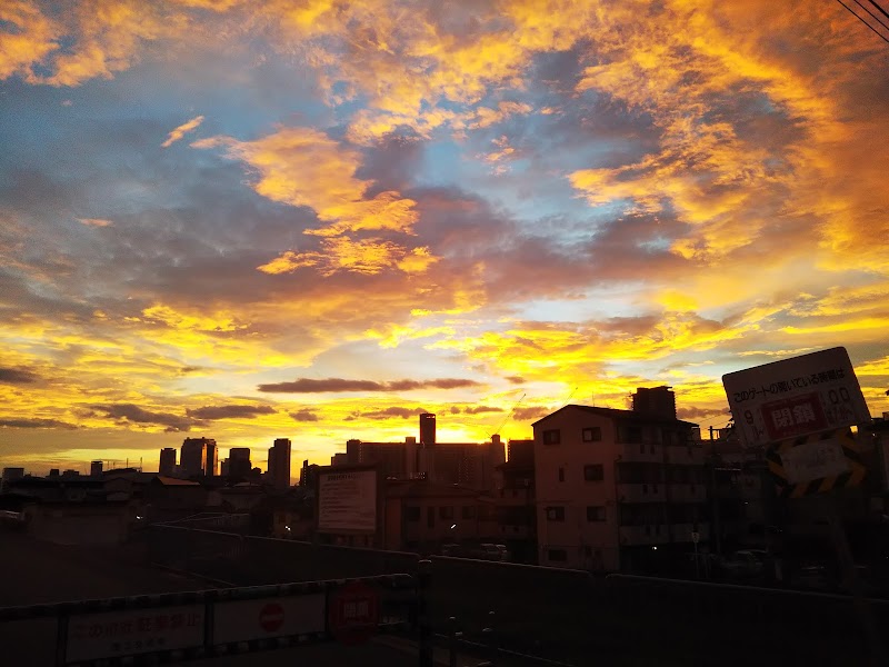 淀川河川公園 海老江地区 大阪府大阪市福島区海老江 公園 公園 グルコミ