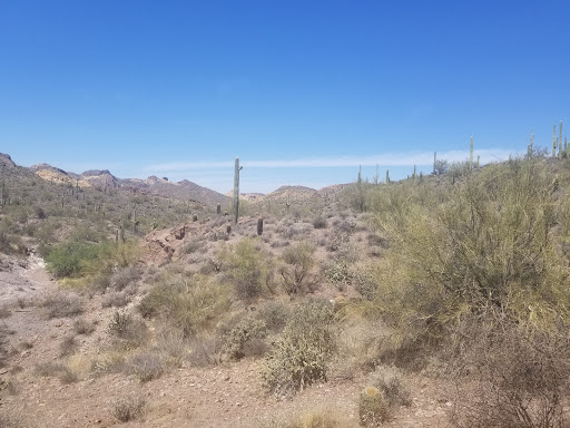 Tourist Attraction «Apache Trail Tours», reviews and photos, 4650 N Mammoth Mine Rd, Apache Junction, AZ 85119, USA