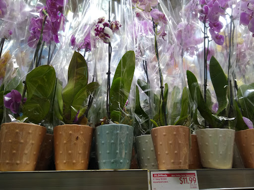 Supermarket «ALDI», reviews and photos, 21031 Tripleseven Rd, Potomac Falls, VA 20165, USA