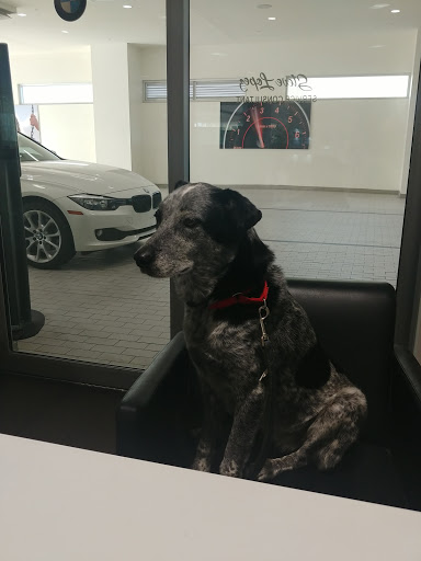 BMW Dealer «Chapman BMW On Camelback», reviews and photos, 830 E Camelback Rd, Phoenix, AZ 85014, USA