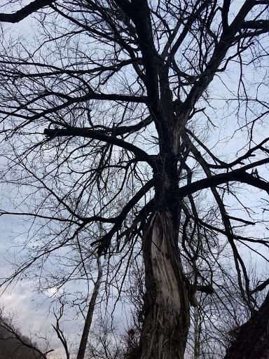 Campground «Lighthouse Landing Campground», reviews and photos, 3780 US-11, Marathon, NY 13803, USA