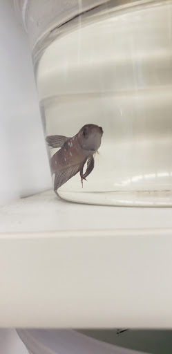 Pet Supply Store «Petco Animal Supplies», reviews and photos, 6025 Kruse Dr #159, Solon, OH 44139, USA