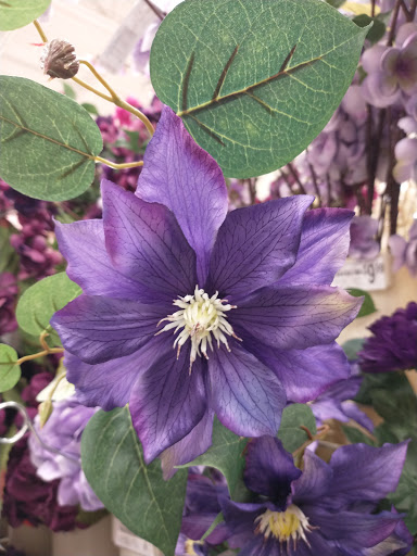 Craft Store «Michaels», reviews and photos, 10300 Silverdale Way NW, Silverdale, WA 98383, USA