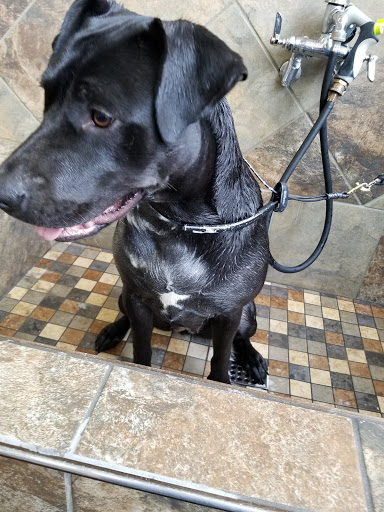 Pet Store «Pet Valu», reviews and photos, 134 S Ridge St, Rye Brook, NY 10573, USA