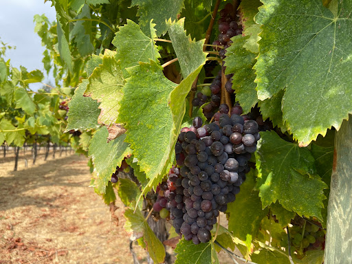 Folktale Winery & Vineyards image