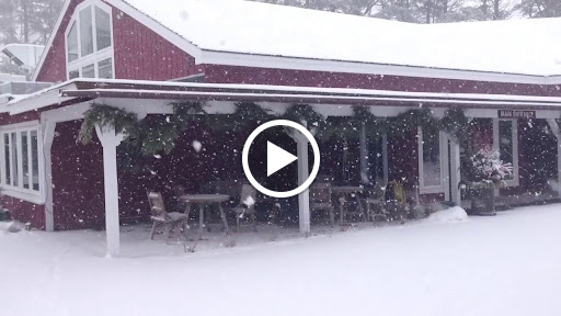 Performing Arts Theater «Old Log Theatre», reviews and photos, 5185 Meadville St, Excelsior, MN 55331, USA