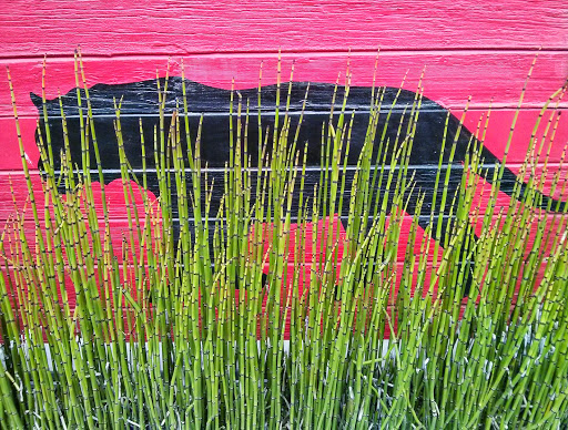 Surf Shop «Proof Lab Surf Shop», reviews and photos, 244 Shoreline Hwy, Mill Valley, CA 94941, USA