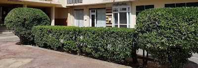 MG Assurance à Marseille