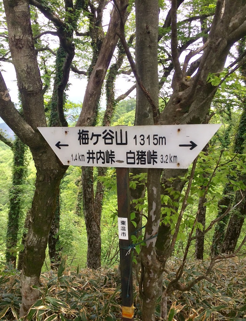井内峠隧道南口(梅ヶ谷山･うなめご登山口)