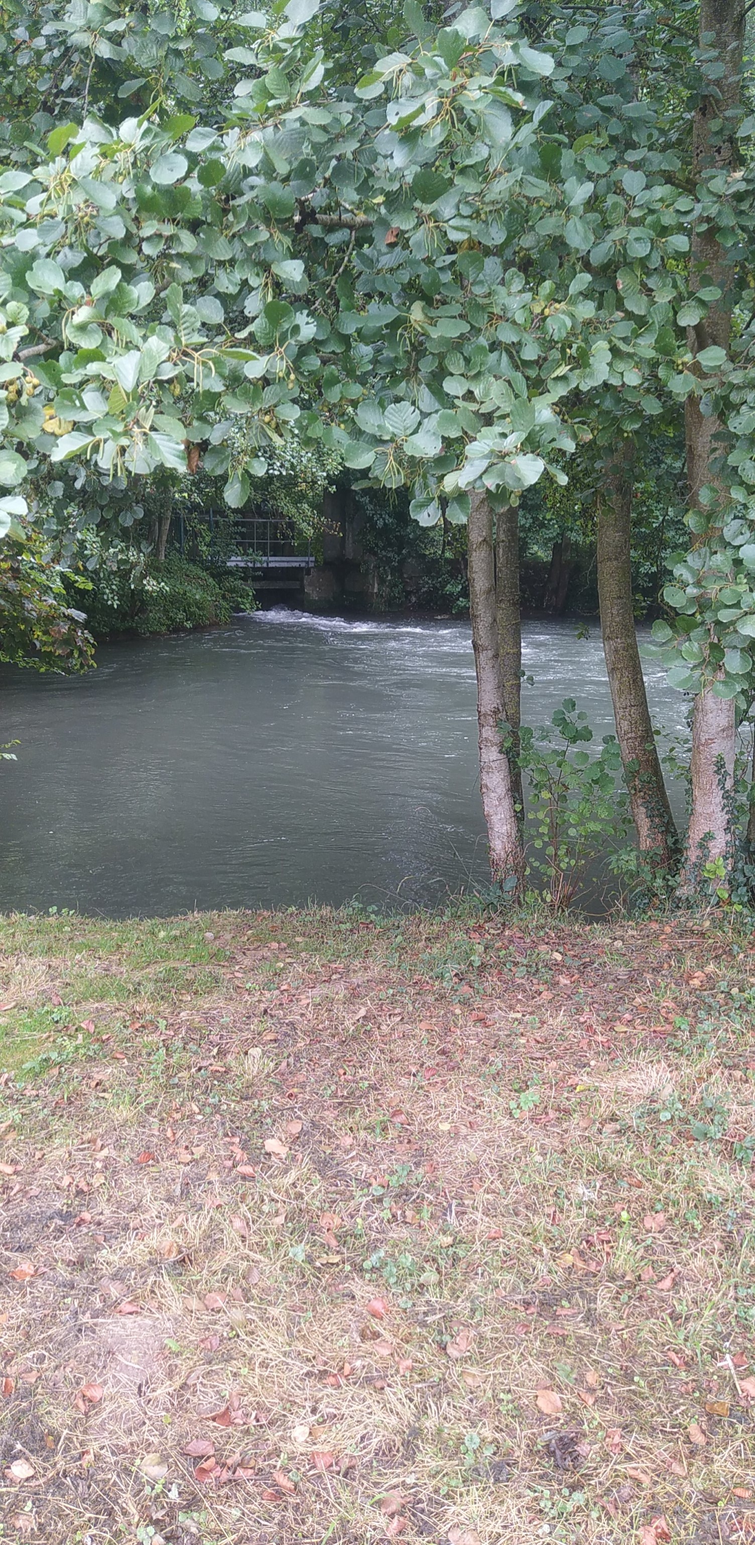 Photo n° 4 de l'avis de Bathilda.u fait le 15/09/2021 à 11:59