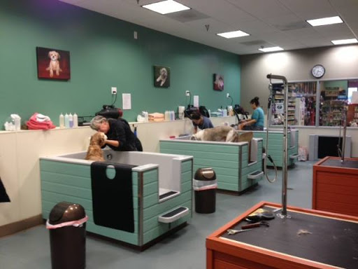 Pet Supply Store «Holistic Pet», reviews and photos, 13567 NW Cornell Rd, Portland, OR 97229, USA