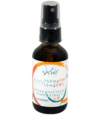 Movie Rental Store «Family Video», reviews and photos, 3744 Gull Rd, Kalamazoo, MI 49048, USA