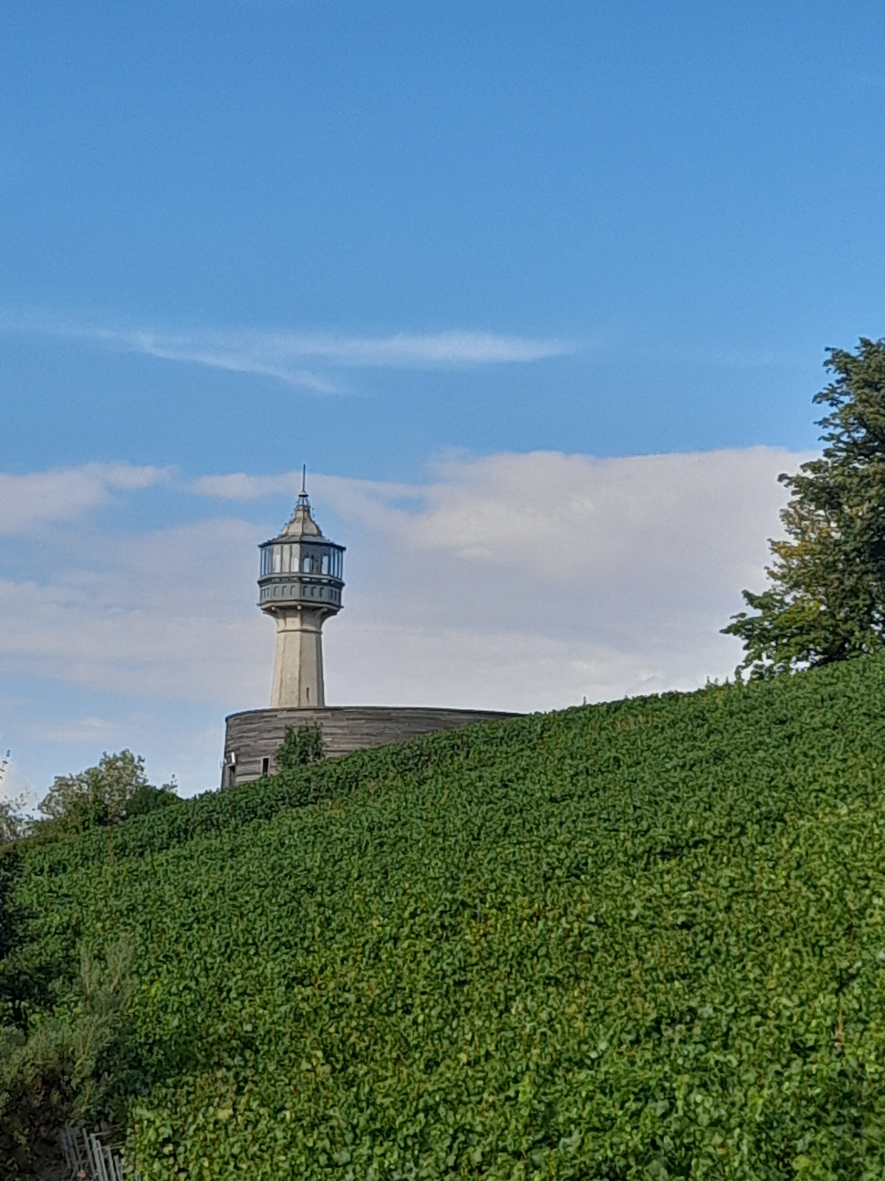 Photo n° 2 de l'avis de Monique.e fait le 15/08/2022 à 16:00