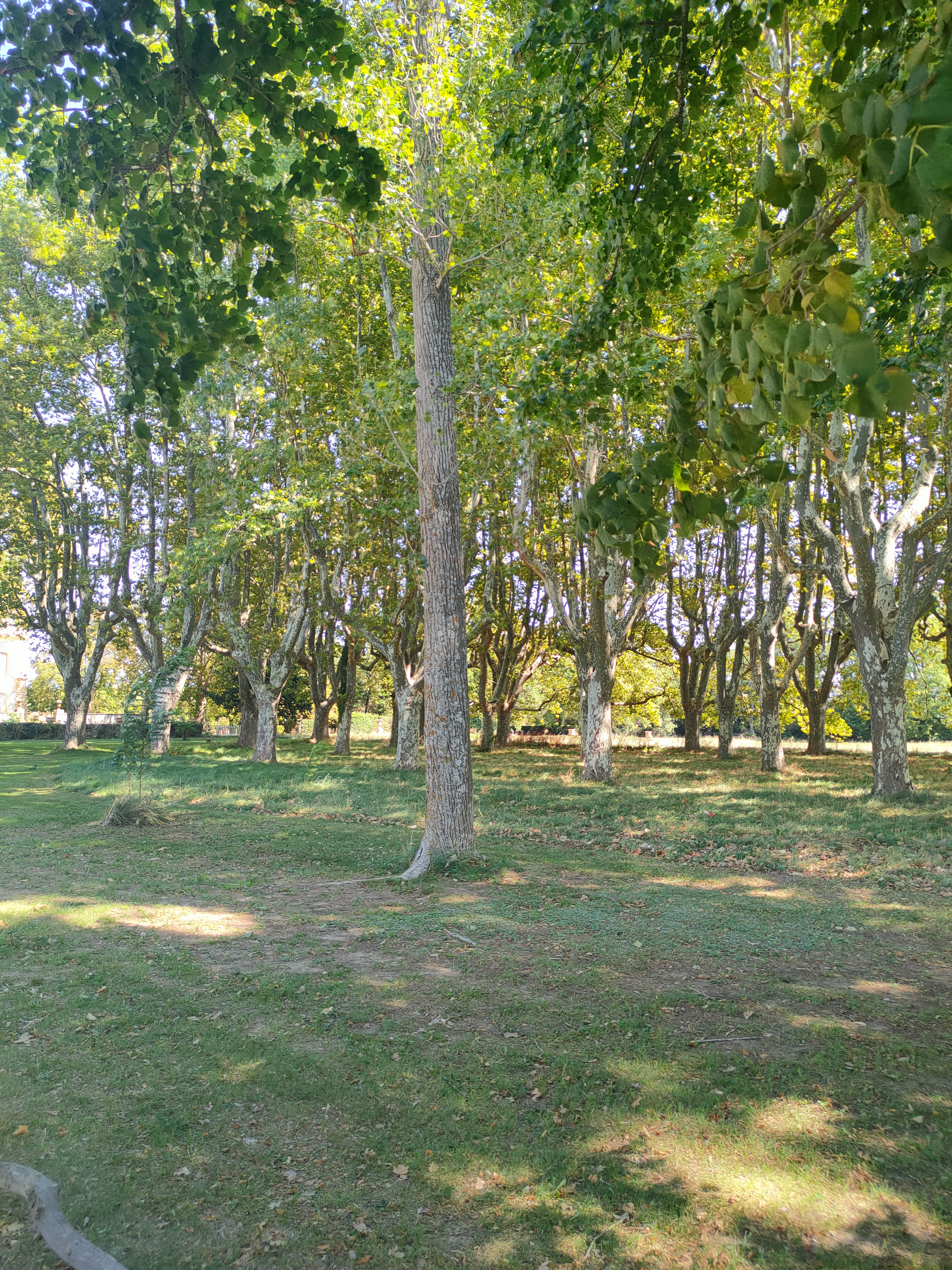 Photo n° 1 de l'avis de Thomas.I fait le 17/09/2022 à 17:53