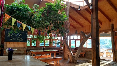 Photos of Tauss Br&auml;u