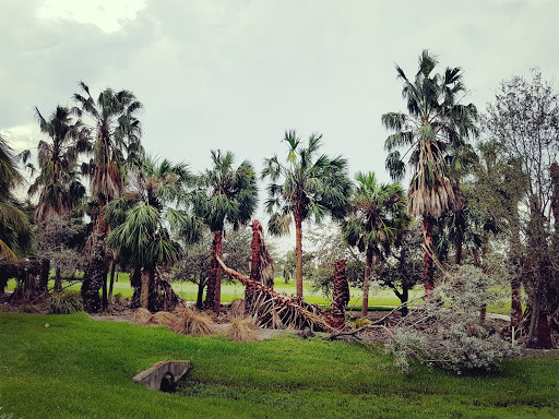 Hotel «Provident Doral at The Blue Miami», reviews and photos, 5300 NW 87th Ave, Miami, FL 33178, USA