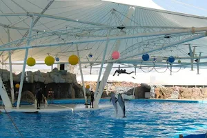Kish Dolphin Park image