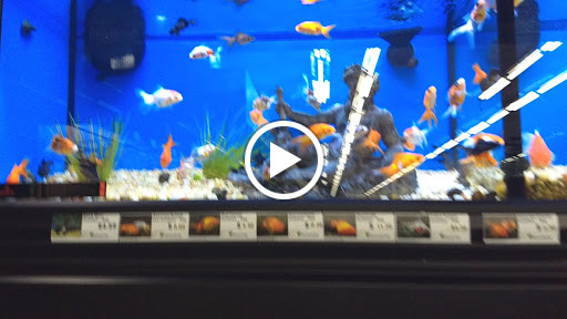 Pet Store «Pet Supermarket, Inc.», reviews and photos, 2446 N University Dr, Coral Springs, FL 33065, USA